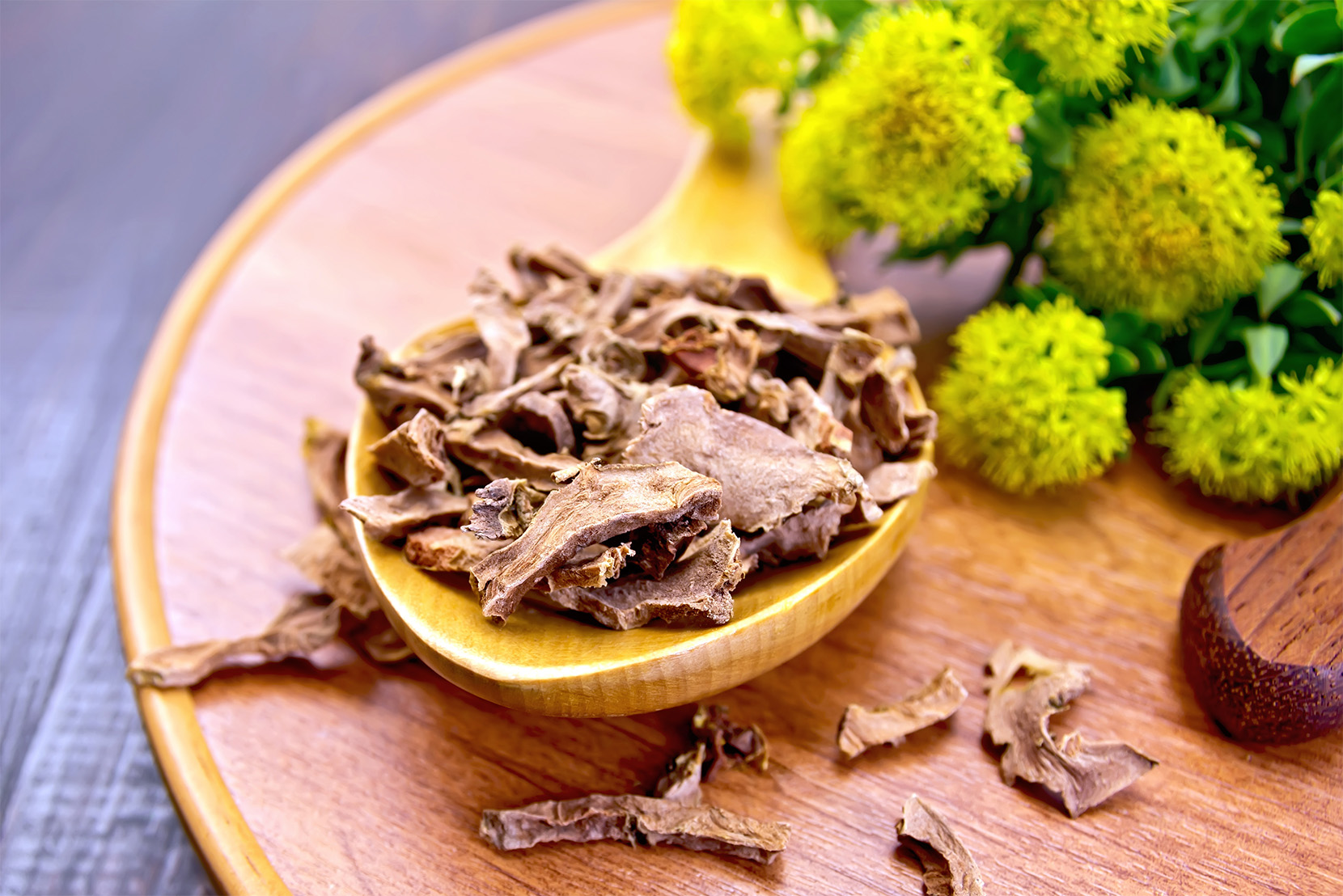 Rhodiola rosea-sušené-kúsky-na-dševené-lyžičke